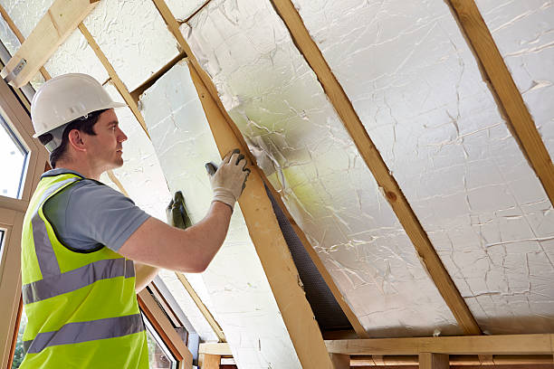 Best Insulation Removal Services  in USA